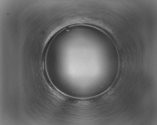 X0000051921509200507011546