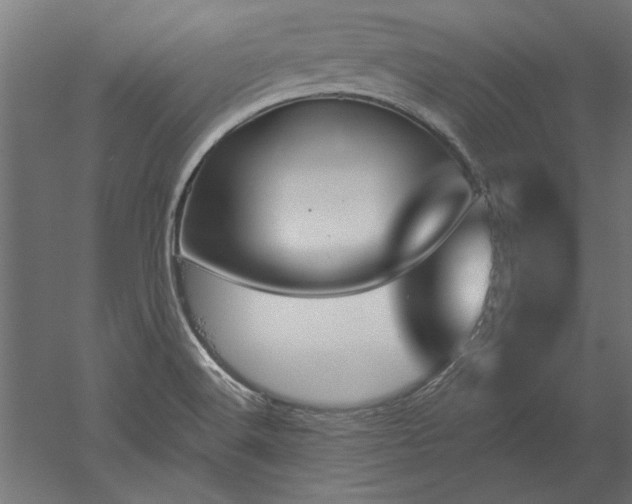 X0000051921516200507011546