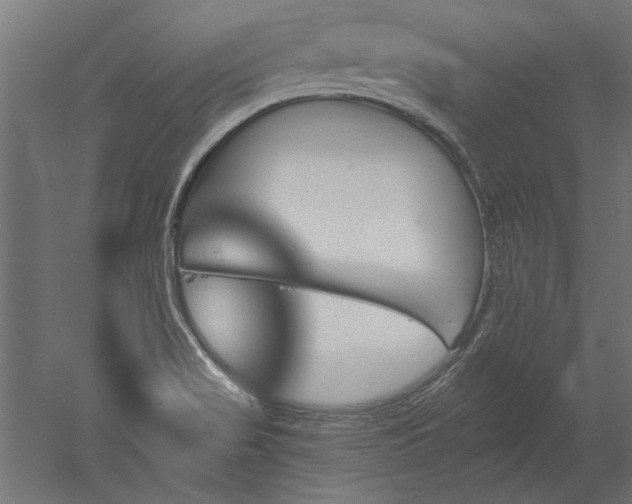 X0000051921517200507011546