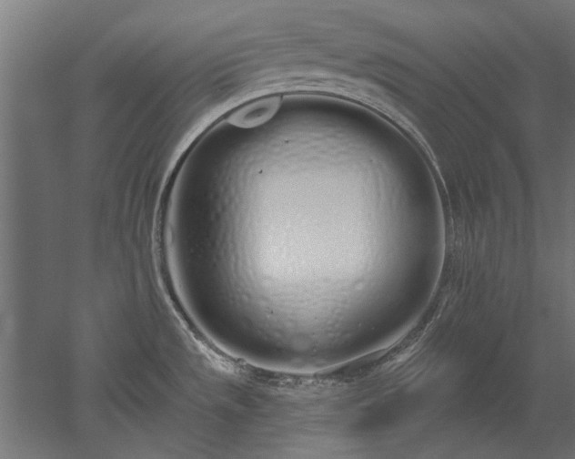X0000051921533200507011546