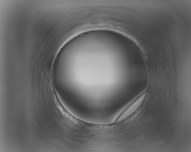 X0000051921534200507011546
