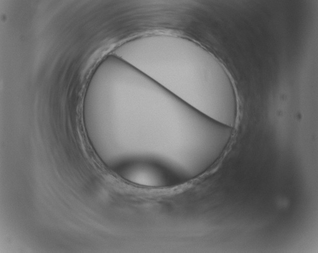 X0000051920001200507082107