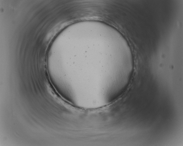 X0000051920002200507082107