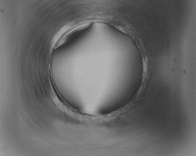 X0000051920003200507082107