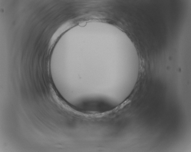 X0000051920004200507082107