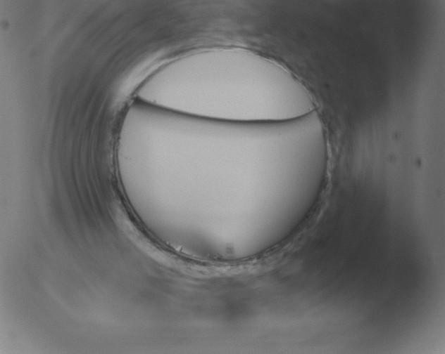 X0000051920005200507082107