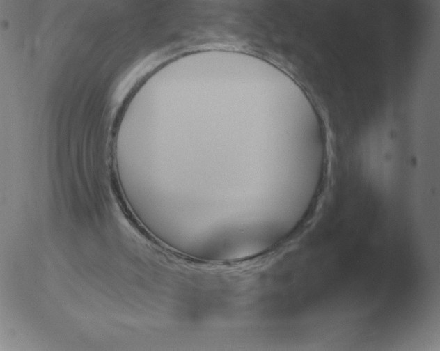 X0000051920007200507082107