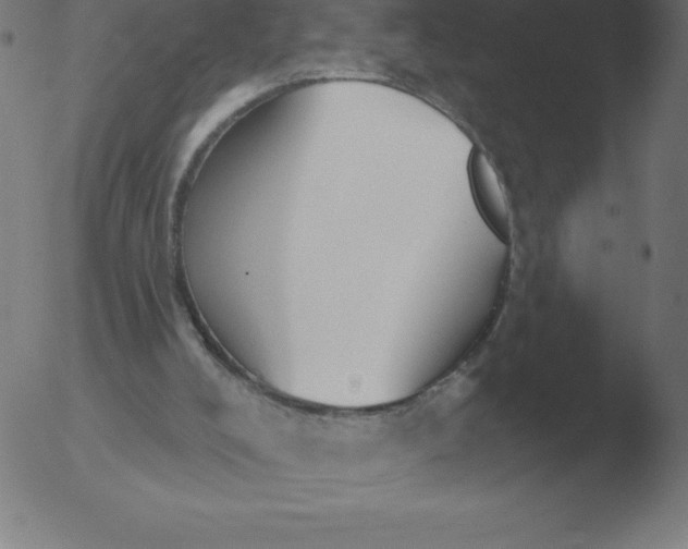 X0000051920008200507082107