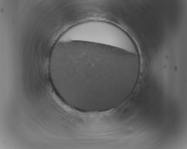 X0000051920009200507082107