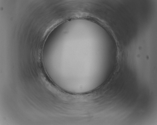 X0000051920010200507082107