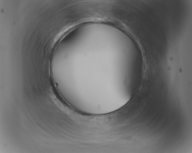 X0000051920011200507082107