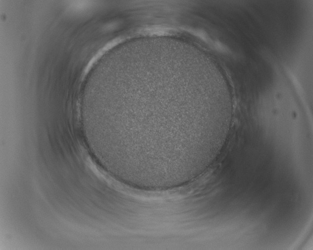 X0000051920012200507082107