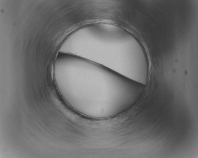 X0000051920013200507082107