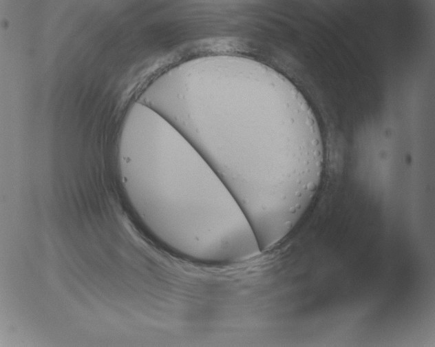 X0000051920014200507082107