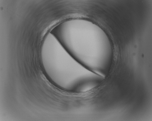 X0000051920015200507082106