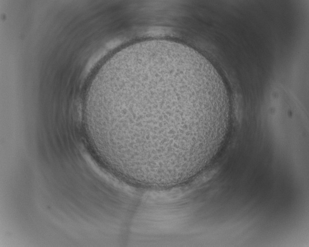 X0000051920016200507082106