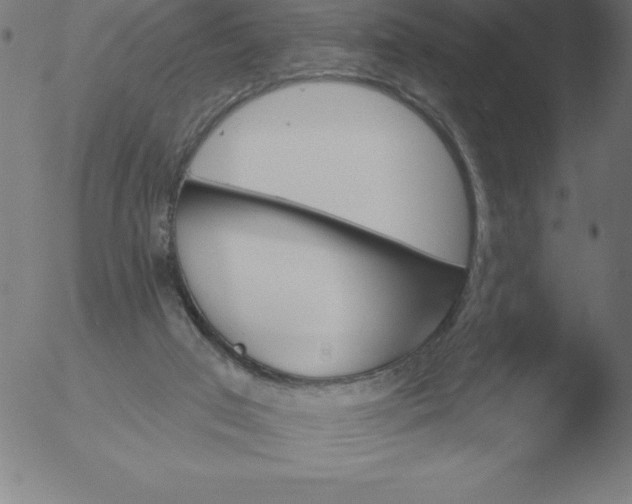 X0000051920017200507082106