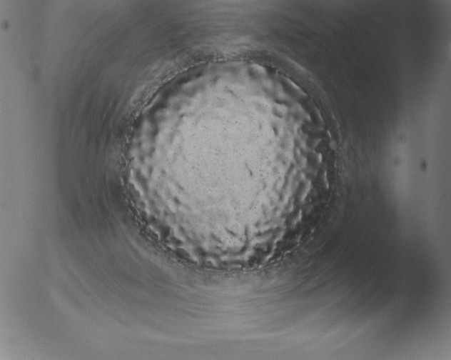 X0000051920018200507082106