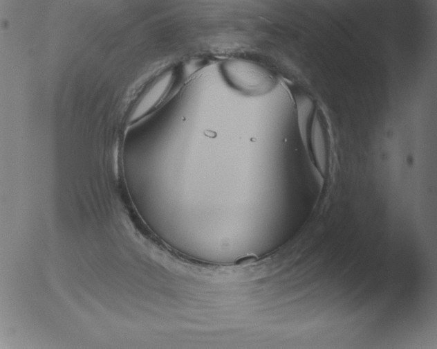 X0000051920019200507082106