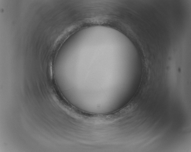 X0000051920020200507082106