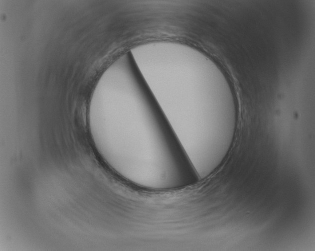 X0000051920021200507082106