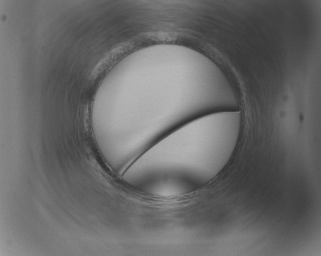 X0000051920023200507082106