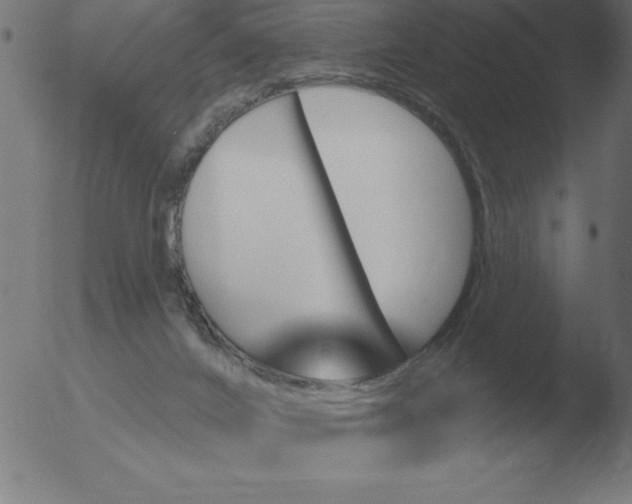 X0000051920024200507082106