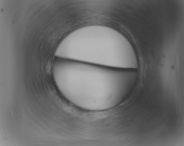 X0000051920025200507082106