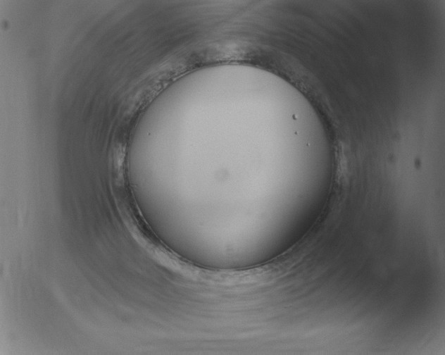 X0000051920026200507082106