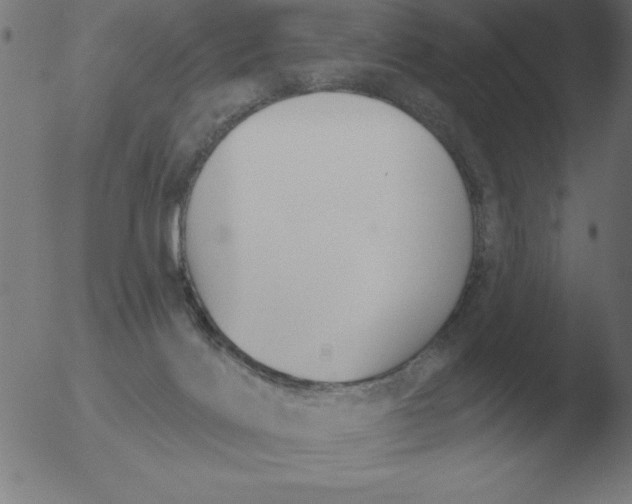 X0000051920028200507082106