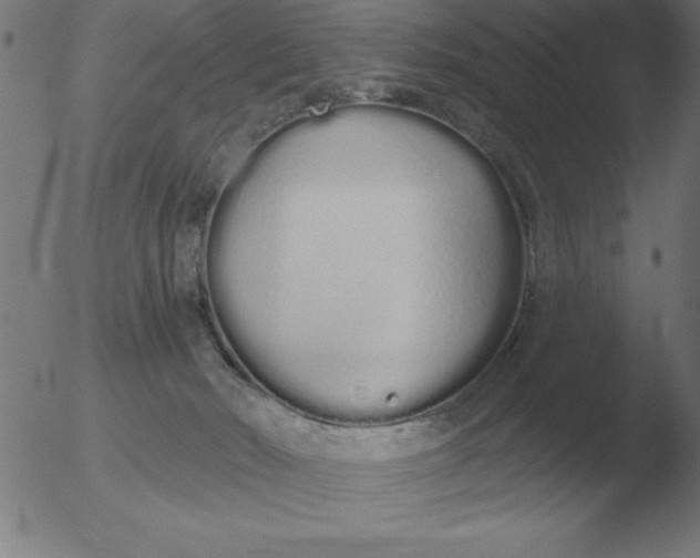 X0000051920030200507082106