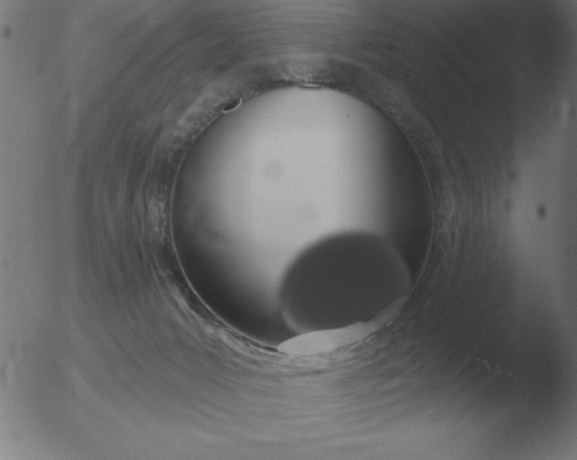 X0000051920031200507082106