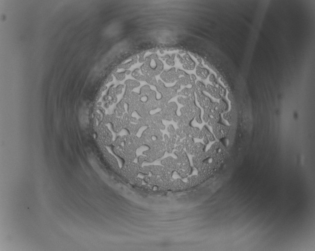 X0000051920032200507082106