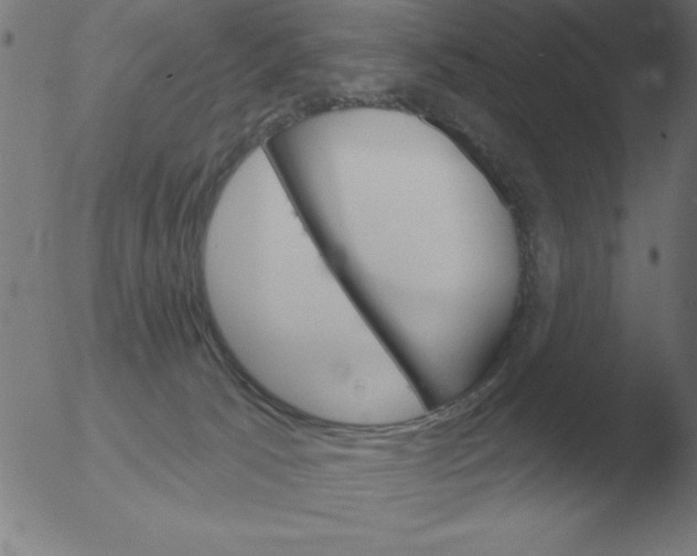 X0000051920033200507082106