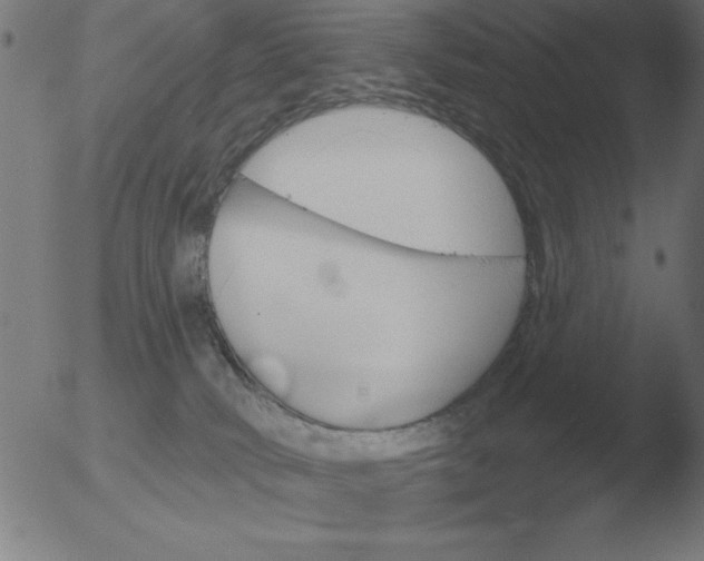 X0000051920034200507082106