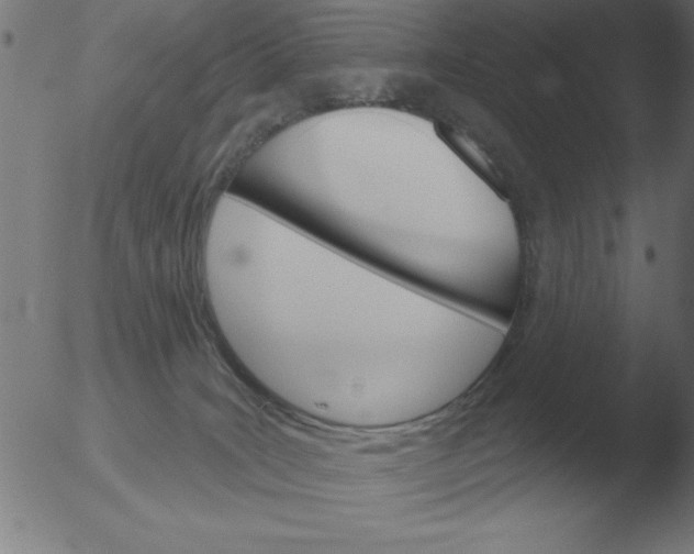 X0000051920035200507082106