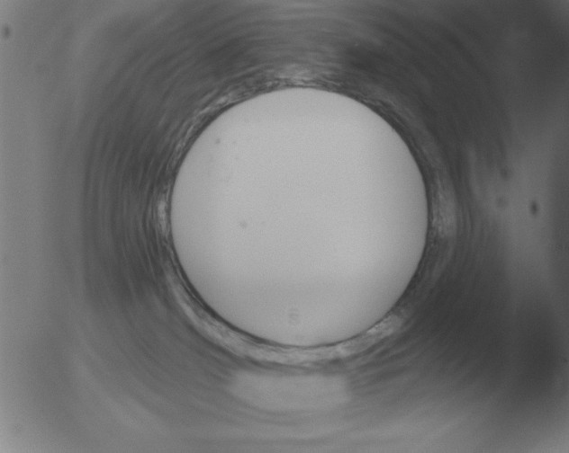 X0000051920036200507082106