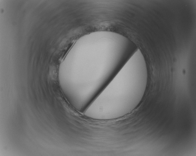 X0000051920037200507082106