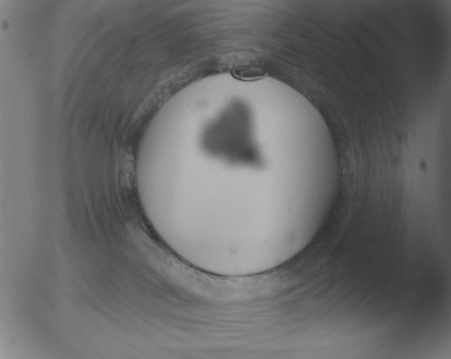 X0000051920038200507082106