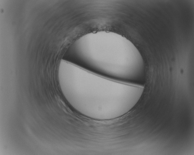 X0000051920039200507082106