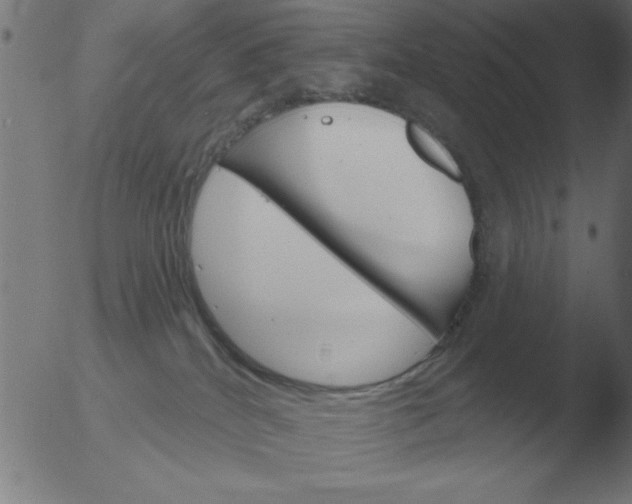 X0000051920040200507082106