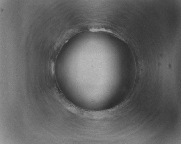 X0000051920041200507082106