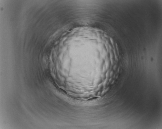 X0000051920043200507082106