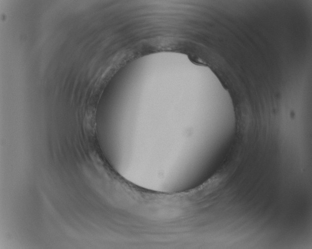 X0000051920044200507082106