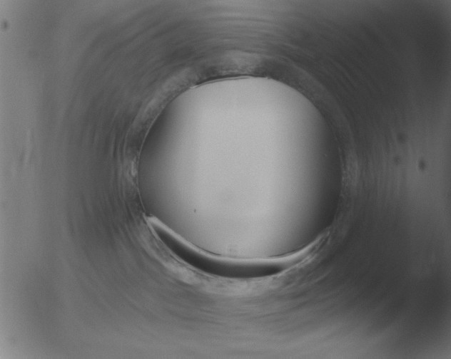 X0000051920045200507082106