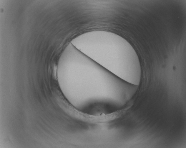 X0000051920046200507082106