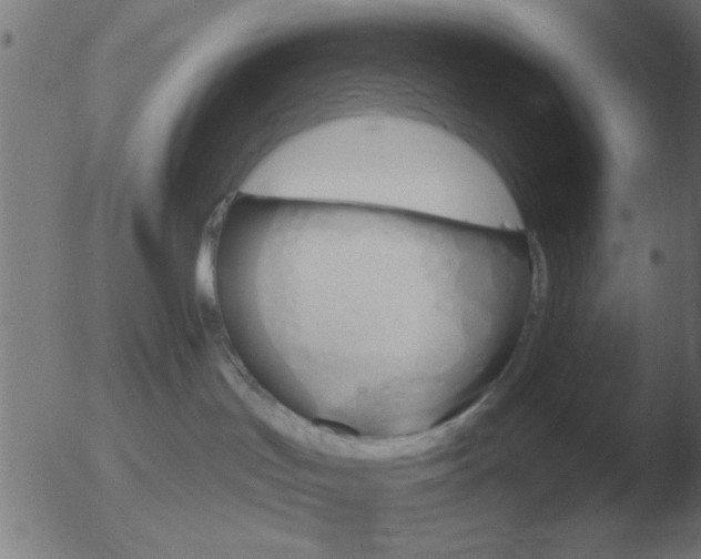 X0000051920047200507082106