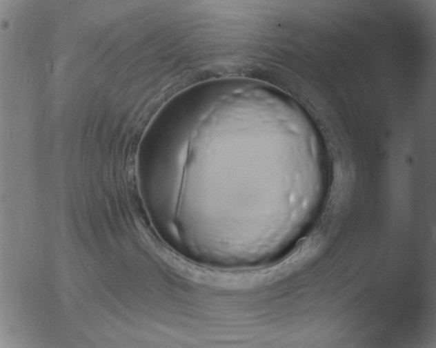 X0000051920048200507082106