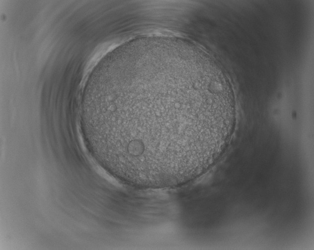 X0000051920049200507082105