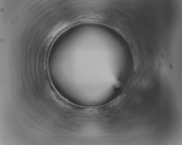 X0000051920050200507082105